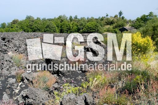 Sizilien (456 von 565).jpg